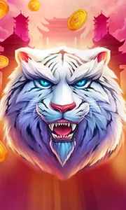 Luck of Tiger
